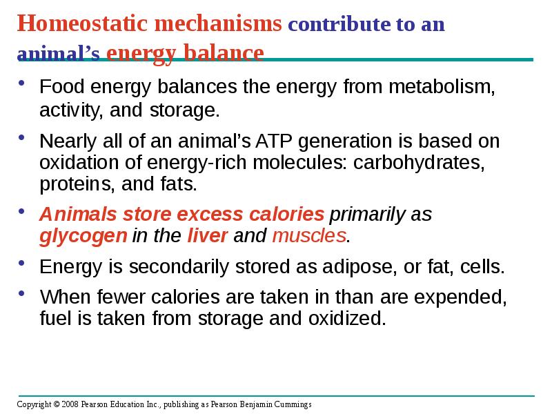 Homeostatic mechanisms contribute to an animal’s energy balance
Food energy balances Homeostatic mechanisms contribute to an animal’s energy balance
Food energy balances