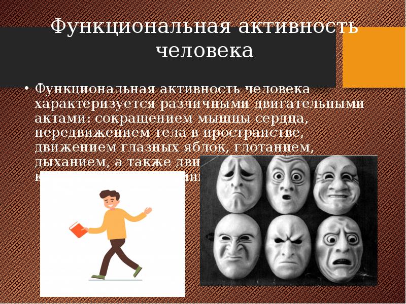 Функциональная активность человека и взаимосвязь физической и умственной деятельности презентация