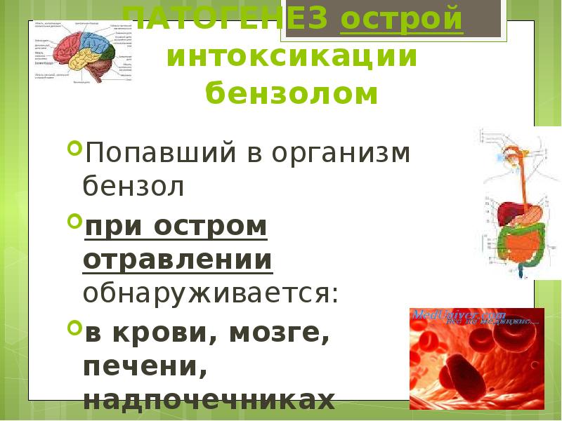 ПАТОГЕНЕЗ острой интоксикации бензолом Попавший в организм бензол  при остром