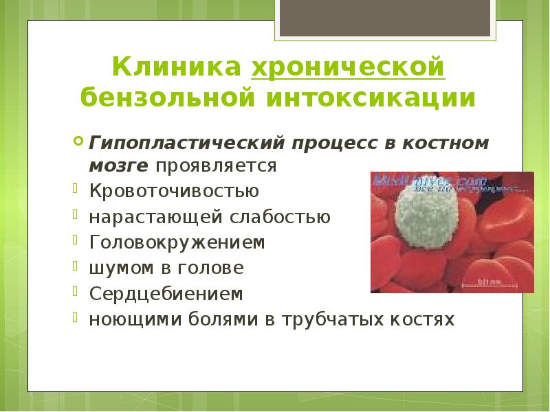 Клиника хронической бензольной интоксикации Гипопластический процесс в костном мозге проявляется Кровоточивостью