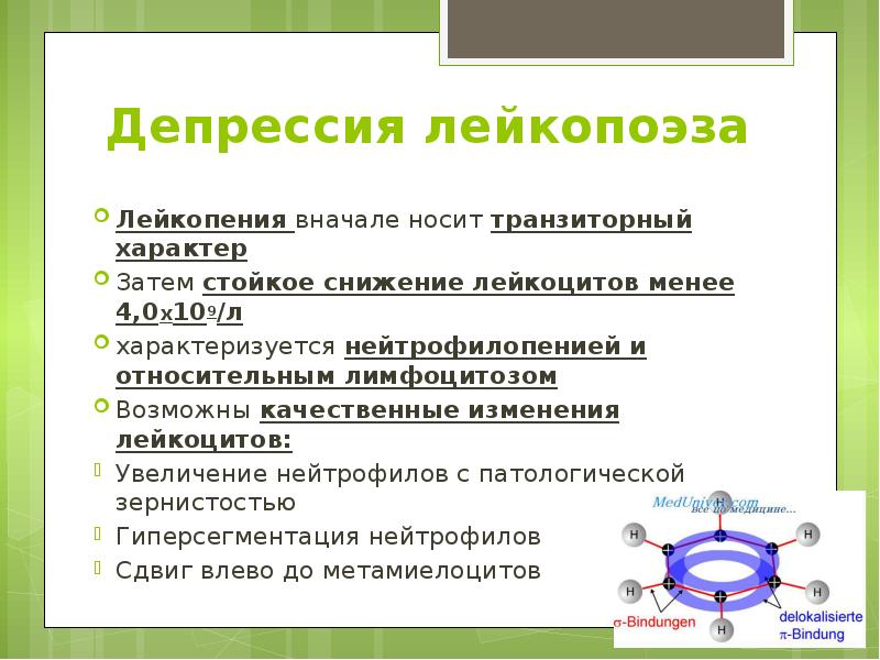 Депрессия лейкопоэза  Лейкопения вначале носит транзиторный характер Затем стойкое снижение
