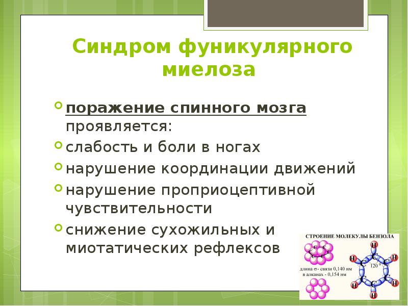 Синдром фуникулярного миелоза  поражение спинного мозга проявляется: слабость и боли