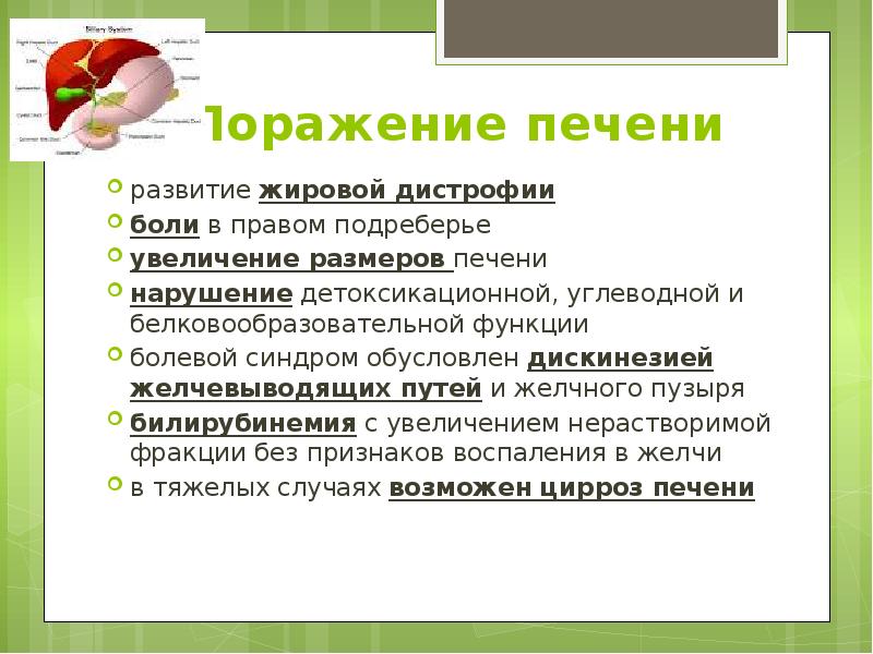 Поражение печени развитие жировой дистрофии боли в правом подреберье увеличение размеров