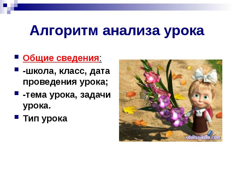 Основную информацию о школе. Основные сведения о школе.