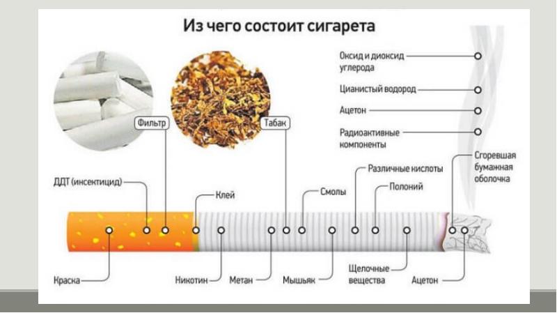 История табака презентация