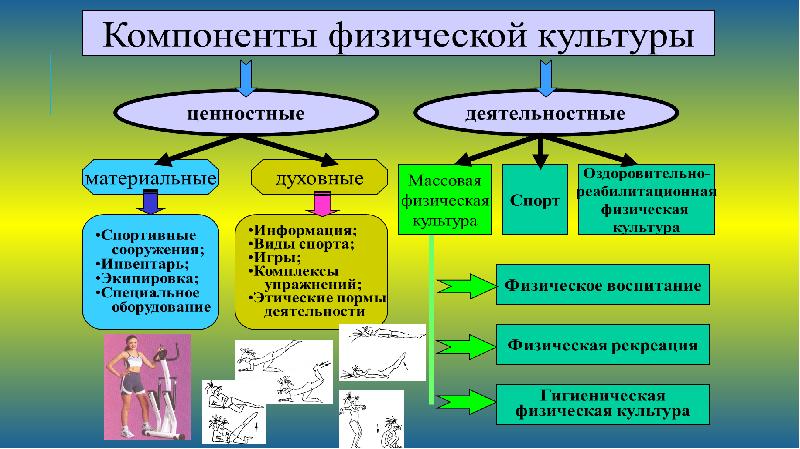 Физическая культура в профессиональной подготовке студентов презентация