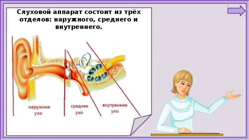 Конспект урока с презентацией 1 класс почему звенит звонок 1 класс