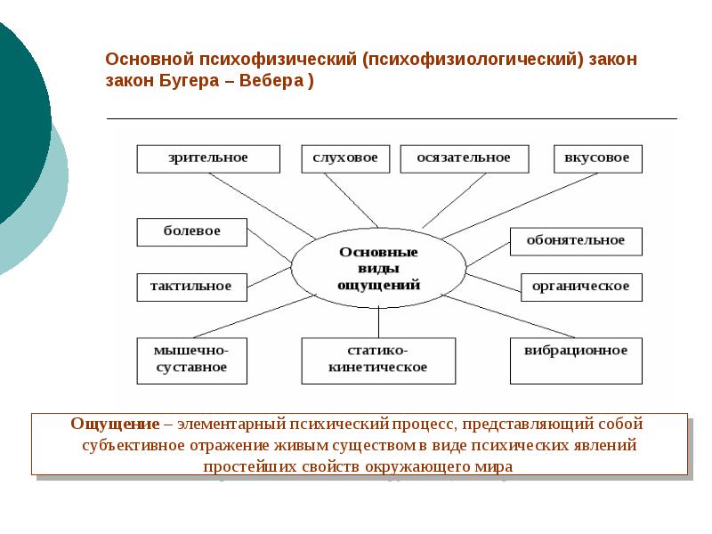 Психофизиологические ощущения. Основные психофизические законы. Основной психофизический закон. Основные психофизические закономерности. Обобщенный психофизический закон.