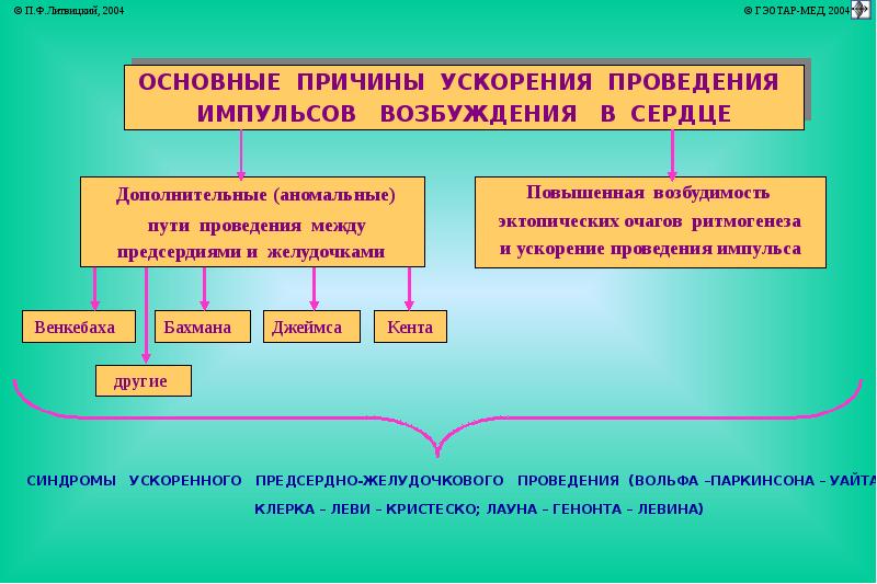 Аритмии патофизиология презентация