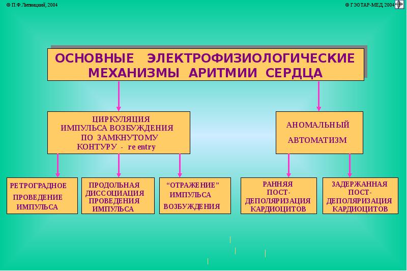 Аритмии возбудимости. Аритмии сердца. Общие механизмы развития аритмий.. Электрофизиологические механизмы аритмий. Электрофизиологические механизмы сердечных аритмий. Электрофизиологический механизм развития аритмий.