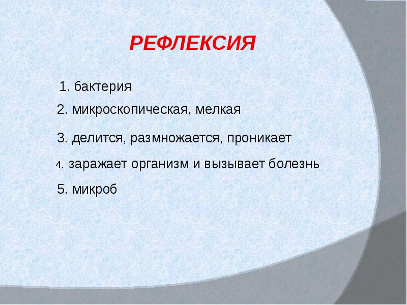 Роль бактерий в природе и жизни человека презентация