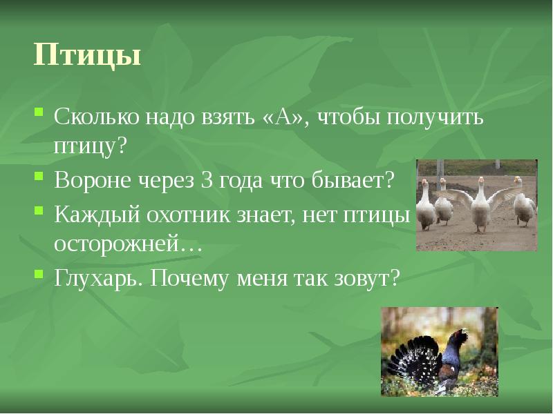 Надо получить. Что бывает вороне через 3 года. Сколько надо взять а чтобы получить птицу. Сколько нужно взять а чтобы получилась птица. Что произойдет с вороной через 3 года.