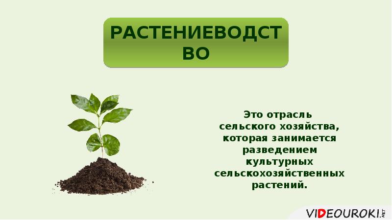 Растениеводство 10 класс география. Растениеводство география 8 класс презентация. Зеленая революция презентация. Эмблема растениеводства.