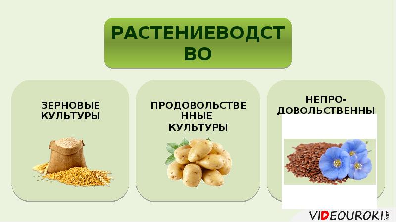 Презентация растениеводство 10 класс география