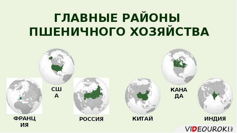 Зеленая революция в сельском хозяйстве презентация