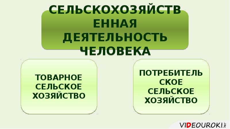 Зеленая революция в сельском хозяйстве презентация