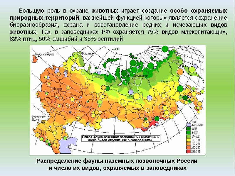 Виды оопт схема