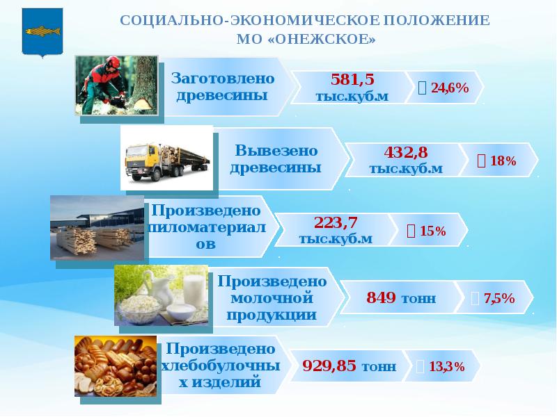 Презентация отчет главы муниципального образования