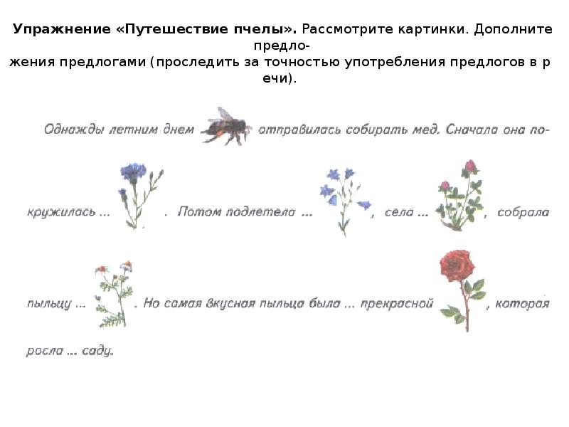 Развитие речи тема цветы