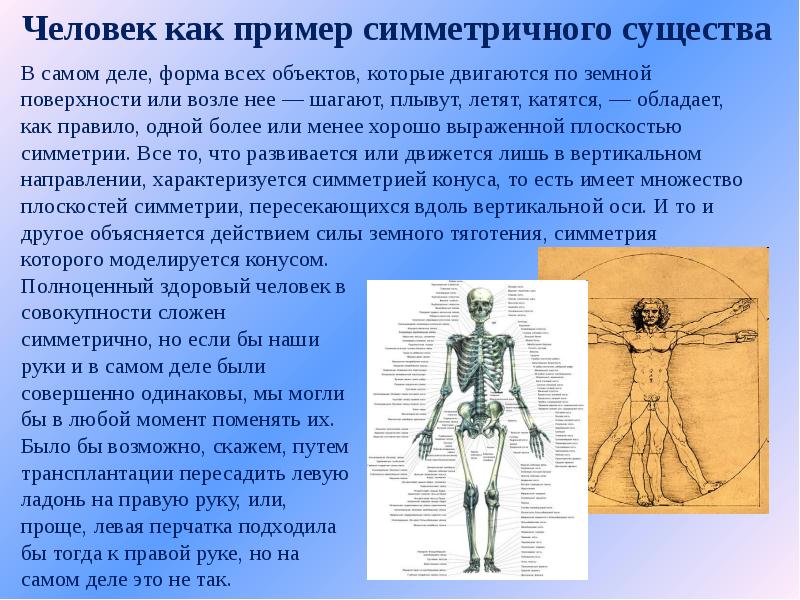 Презентация на тему асимметрия