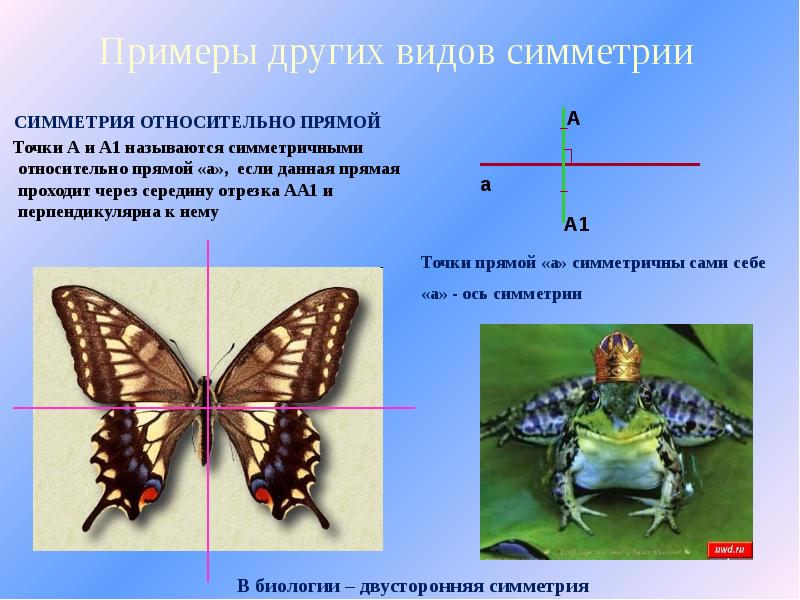 Презентация на тему асимметрия