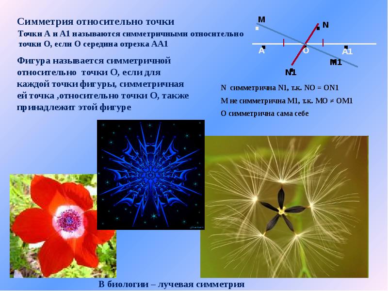 Презентация симметрия асимметрия