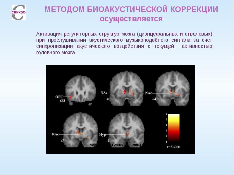 Мурашова класс коррекции презентация