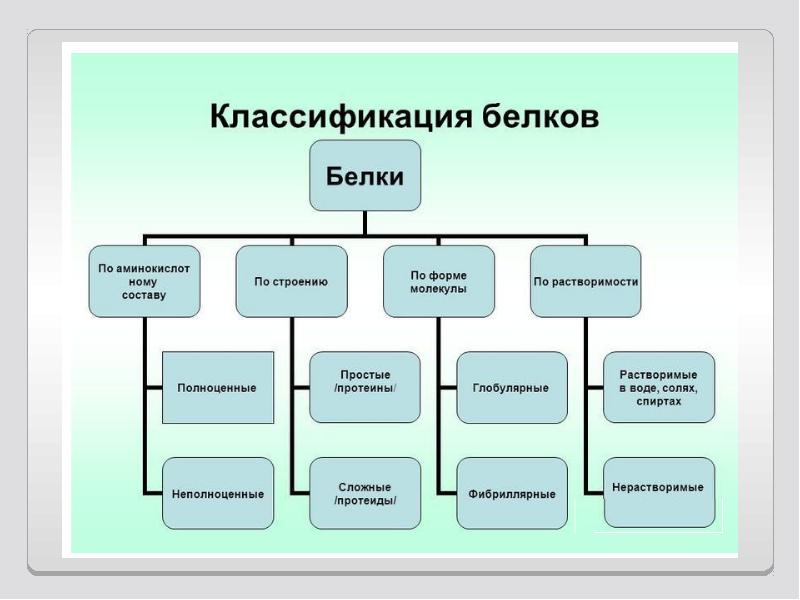 Классификация белков презентация