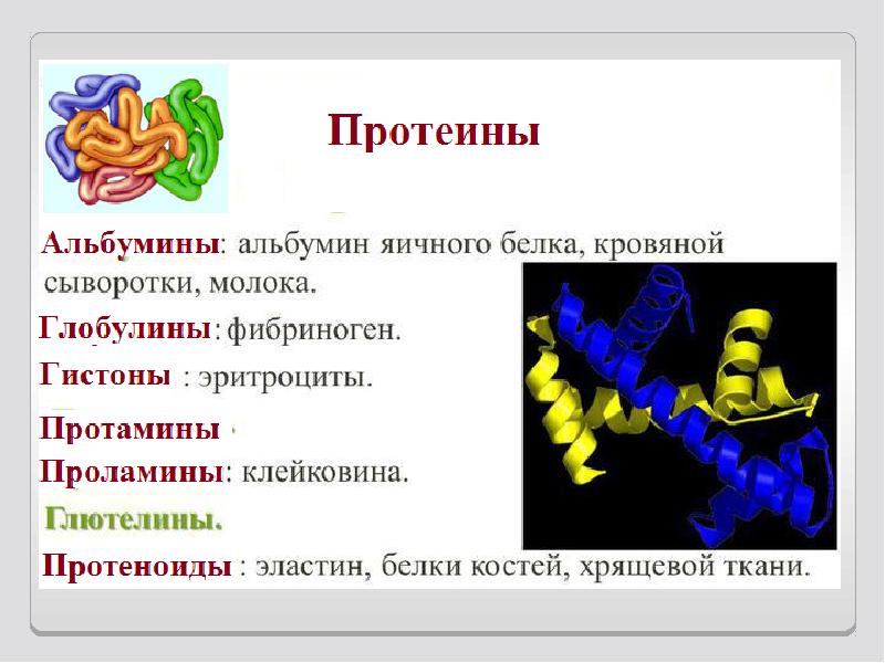 Роль макромолекул в человеческом организме презентация