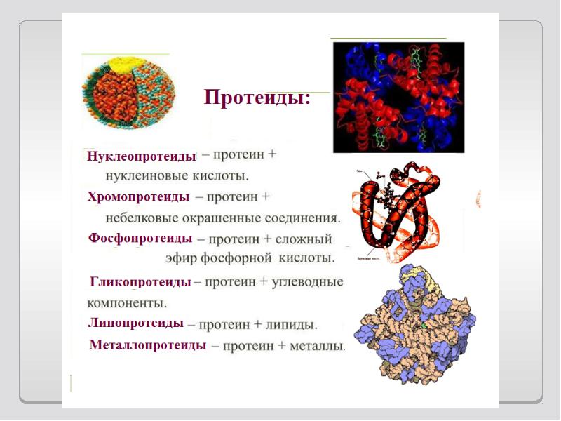 Роль макромолекул в человеческом организме презентация