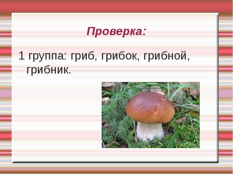 Слова грибы какое. Гриб грибок грибник грибной. Состав слова грибник грибок грибной. Проект по слову гриб. 1 Группа грибов.