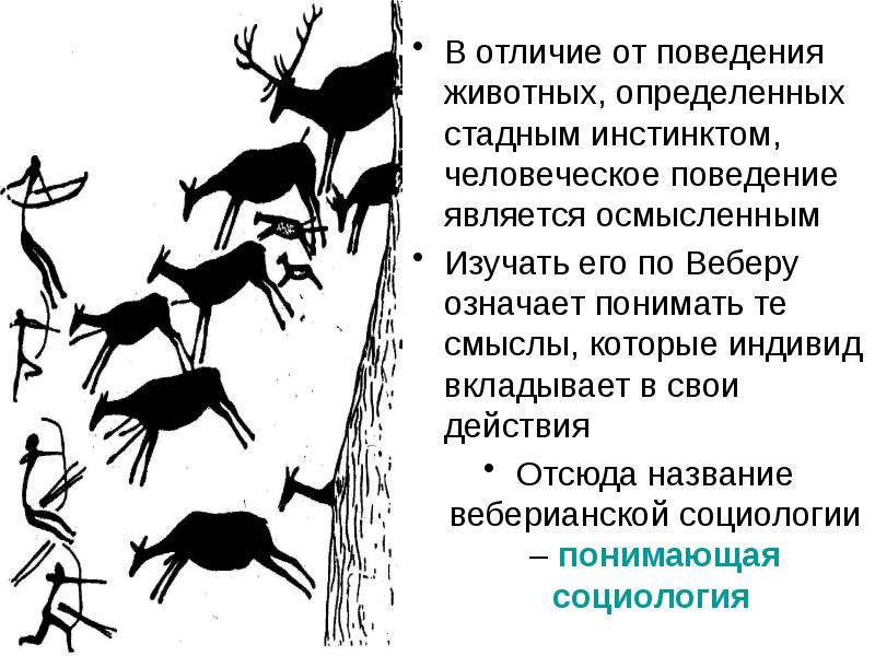 В отличие от поведения животных. Стадный рефлекс. Стадный рефлекс у людей. Поведение является осмысленным. Стадный рефлекс у детей.