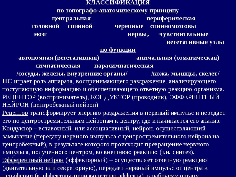 Периферическая нервная система неврология презентация