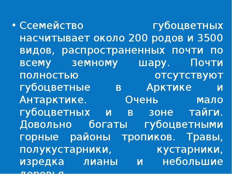 Семейство губоцветные презентация