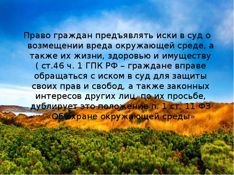 Право граждан предъявлять иски в суд о возмещении вреда окружающей среде, Право граждан предъявлять иски в суд о возмещении вреда окружающей среде,