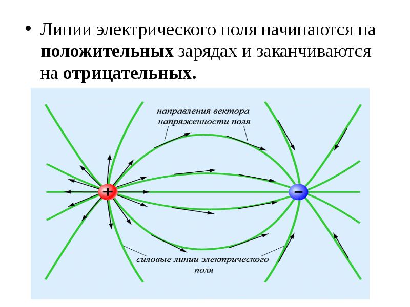 Электрическое поле создаваемое. Силовые линии электростатического поля начинаются на. Линии напряженности электрического поля положительного заряда. Линии напряженности двух отрицательных зарядов. Силовые линии двух отрицательных зарядов.