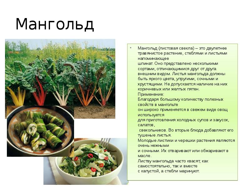 Экзотические овощи презентация