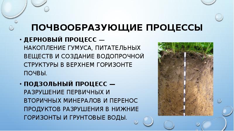 Подзолистые почвы коэффициент