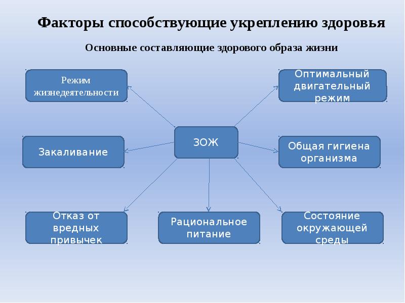 Выбор места обучения схема