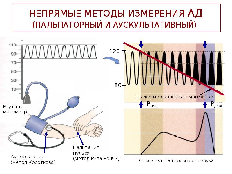 Метод давления. Измерение артериального давления по методу Рива-Роччи –Короткова.. Метод Рива Роччи для измерения артериального давления. Методы измерения артериального давления Короткова РИВВА Роча. Методы измерения ад Рива Роччи.