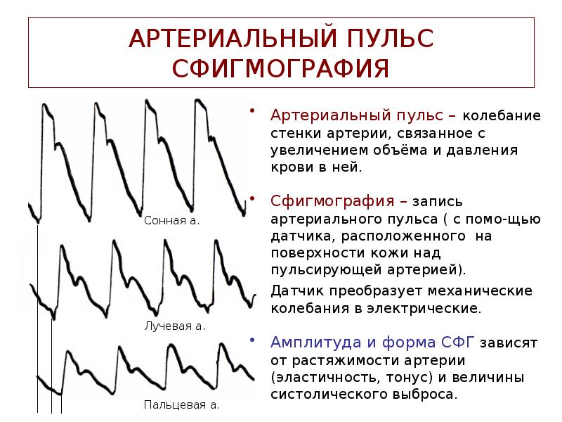 Пульс колебание стенок артерий