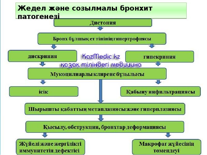 План обследования при остром бронхите у детей