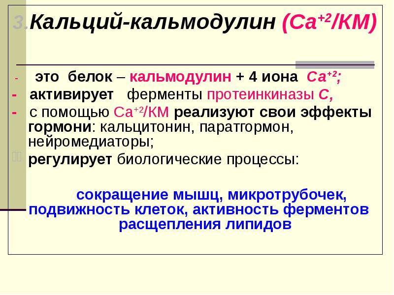 функции адренергических синапсов. модуляторы метаболизма. инсулин и глюкагон. гормоны и модуляторы метаболизма. разновидности гормонов.
