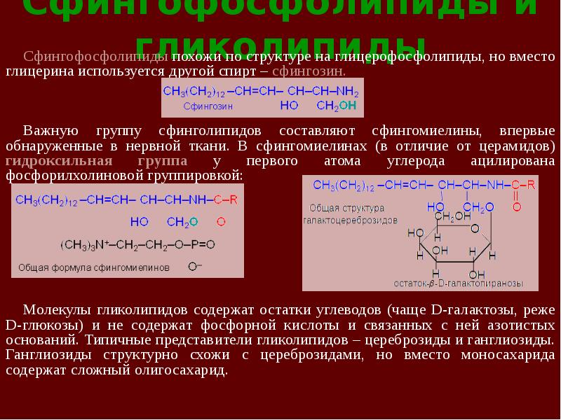 Структура глицерофосфатов и сфинголипидов. Сфинголипиды и гликолипиды. Структура сфингофосфолипидов. Общая формула гликолипидов. Сфингофосфолипиды строение.