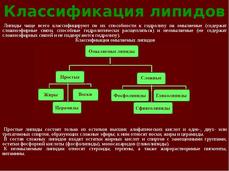 Связи липидов. Классификация липидов. Сложные липиды.