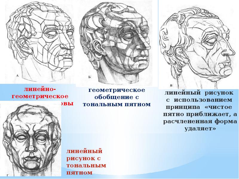 Академический рисунок гаттамелата