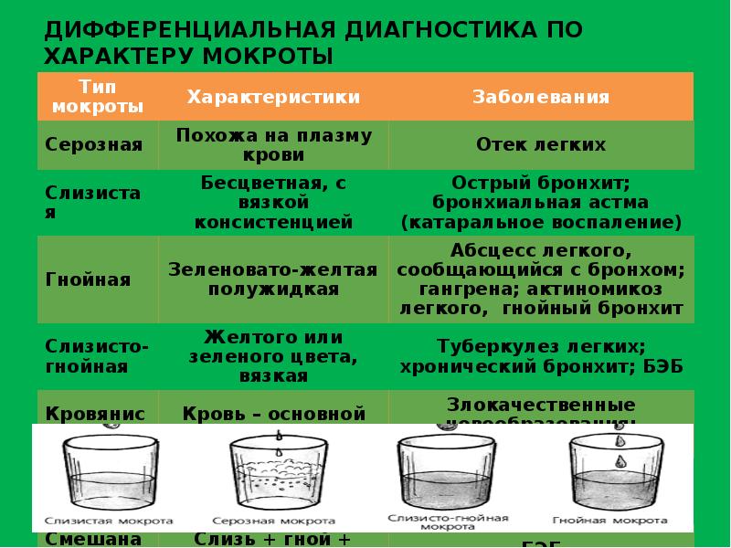 Виды мокроты при кашле описание и фото у взрослого