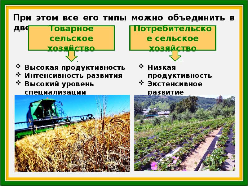 Презентация по географии сельское хозяйство. География сельского хозяйства. География сельского хозяйства мира. География сельского хозяйства мира презентация. Проблемы сельского хозяйства мира.