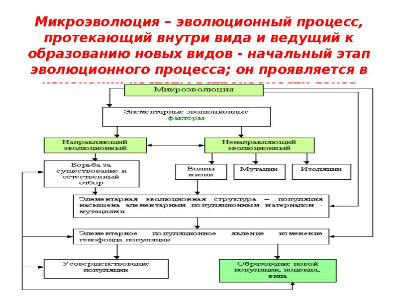 Микроэволюция презентация 9 класс