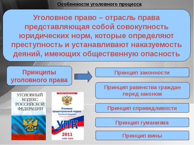 Уголовное право проект по обществознанию